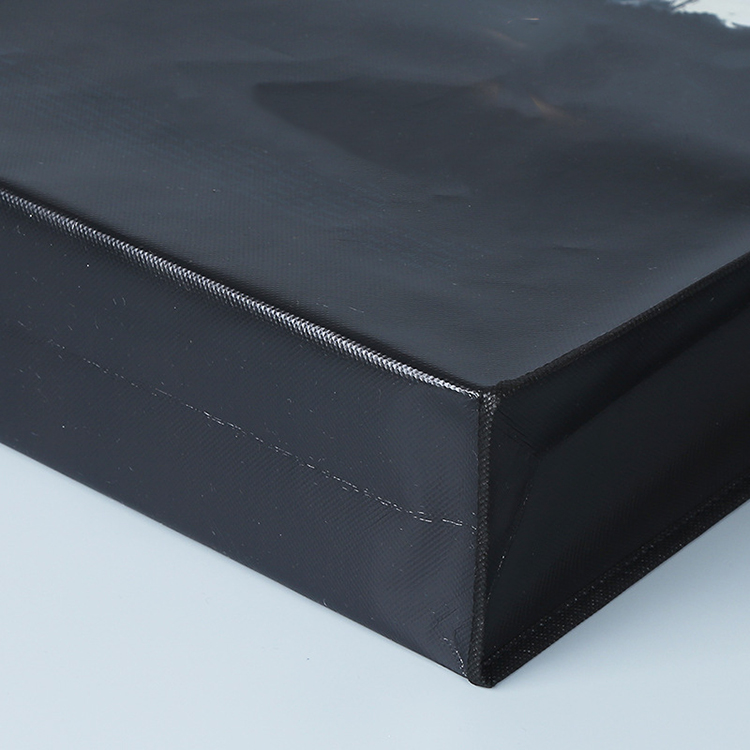 Polypropylene non-woven bag 3