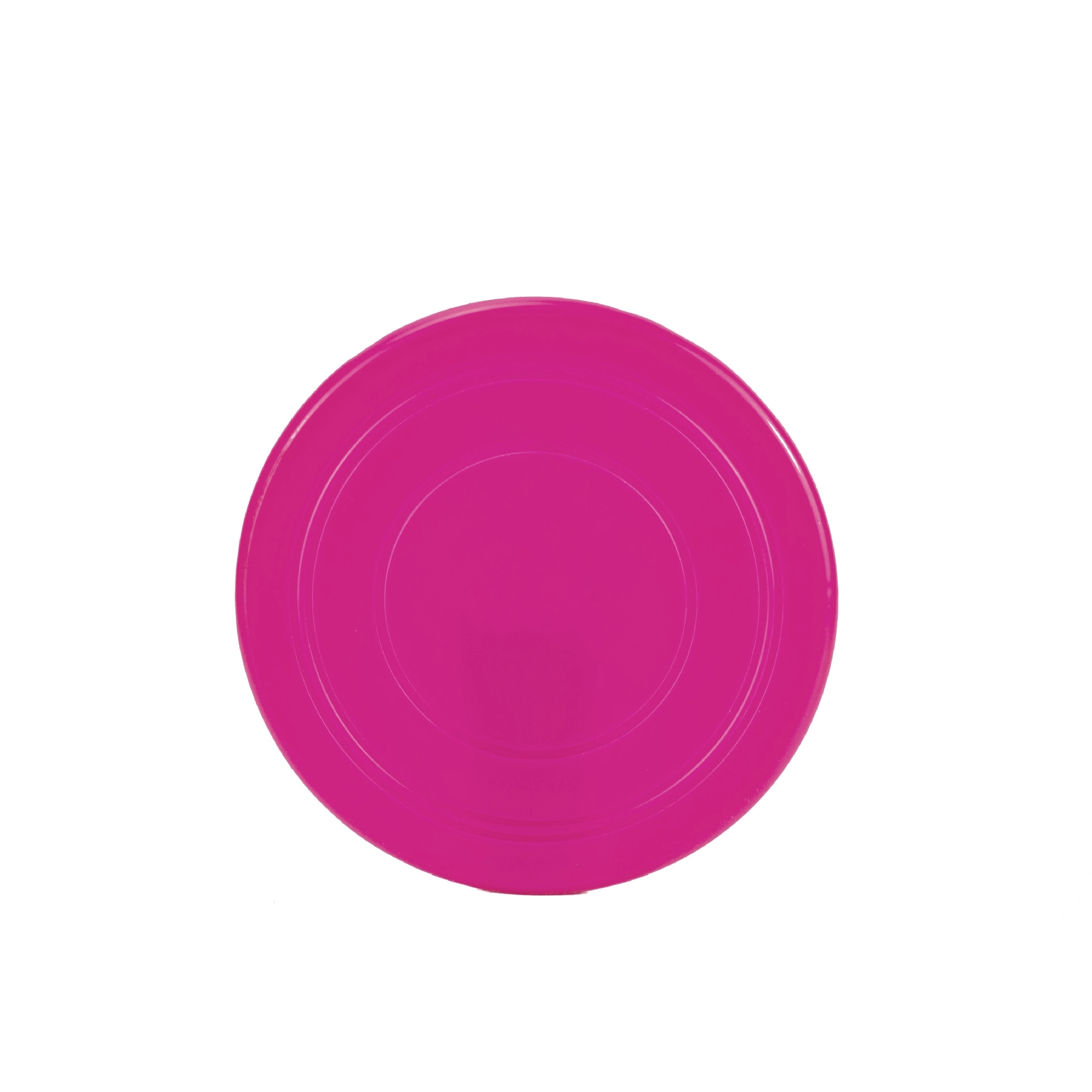Dog Flying Disc 6
