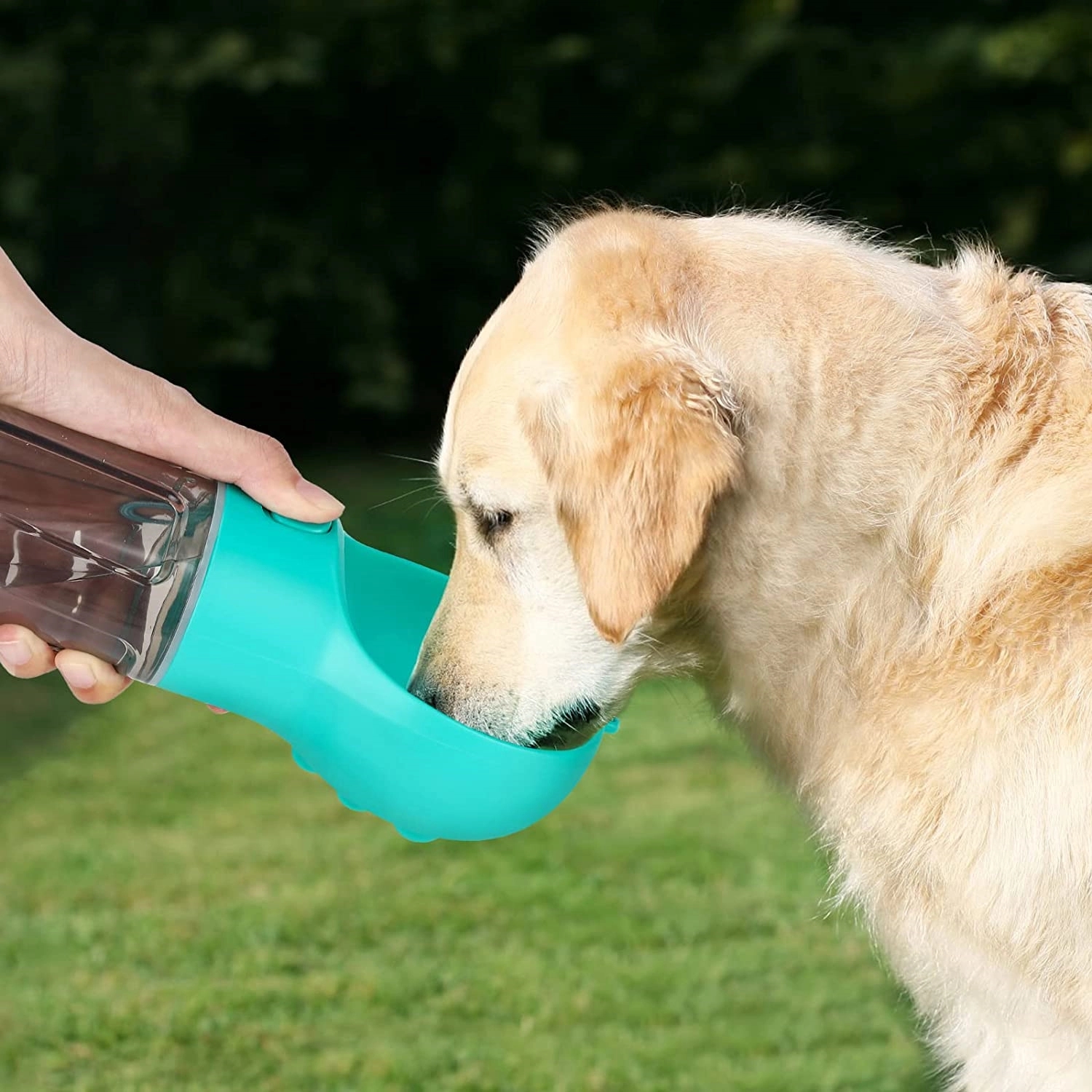4 In 1 Dog Water Bottle 6