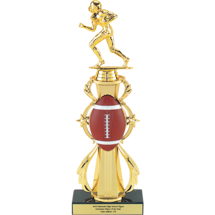 3D Full Color Sport Ball Star Riser Award Trophy 3