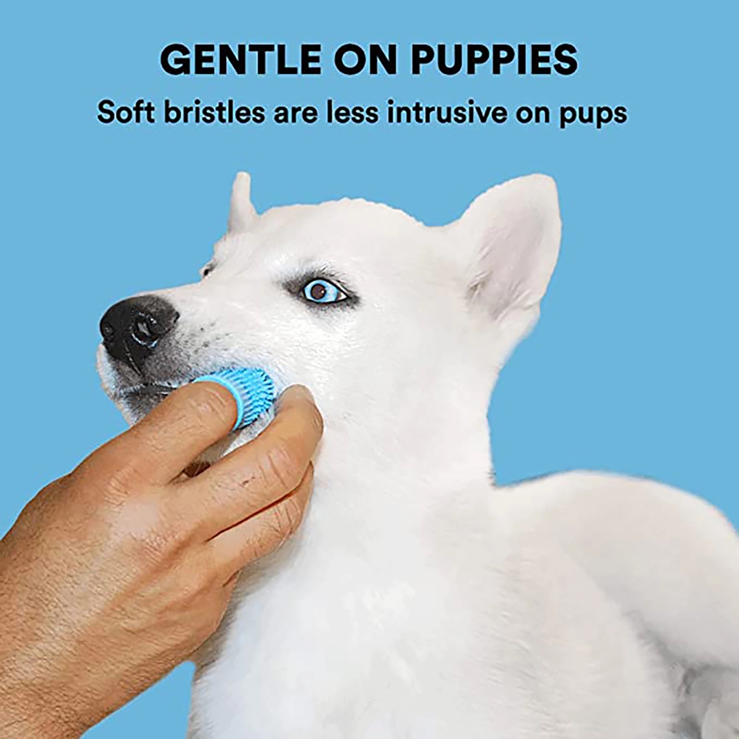 Silicone Pet Toothbrush 5