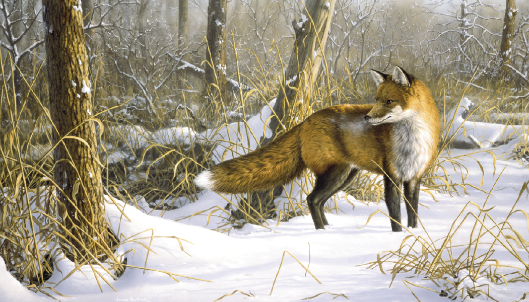 Triumph® Calendars Wildlife Art by the Hautman Brothers Calendar 34