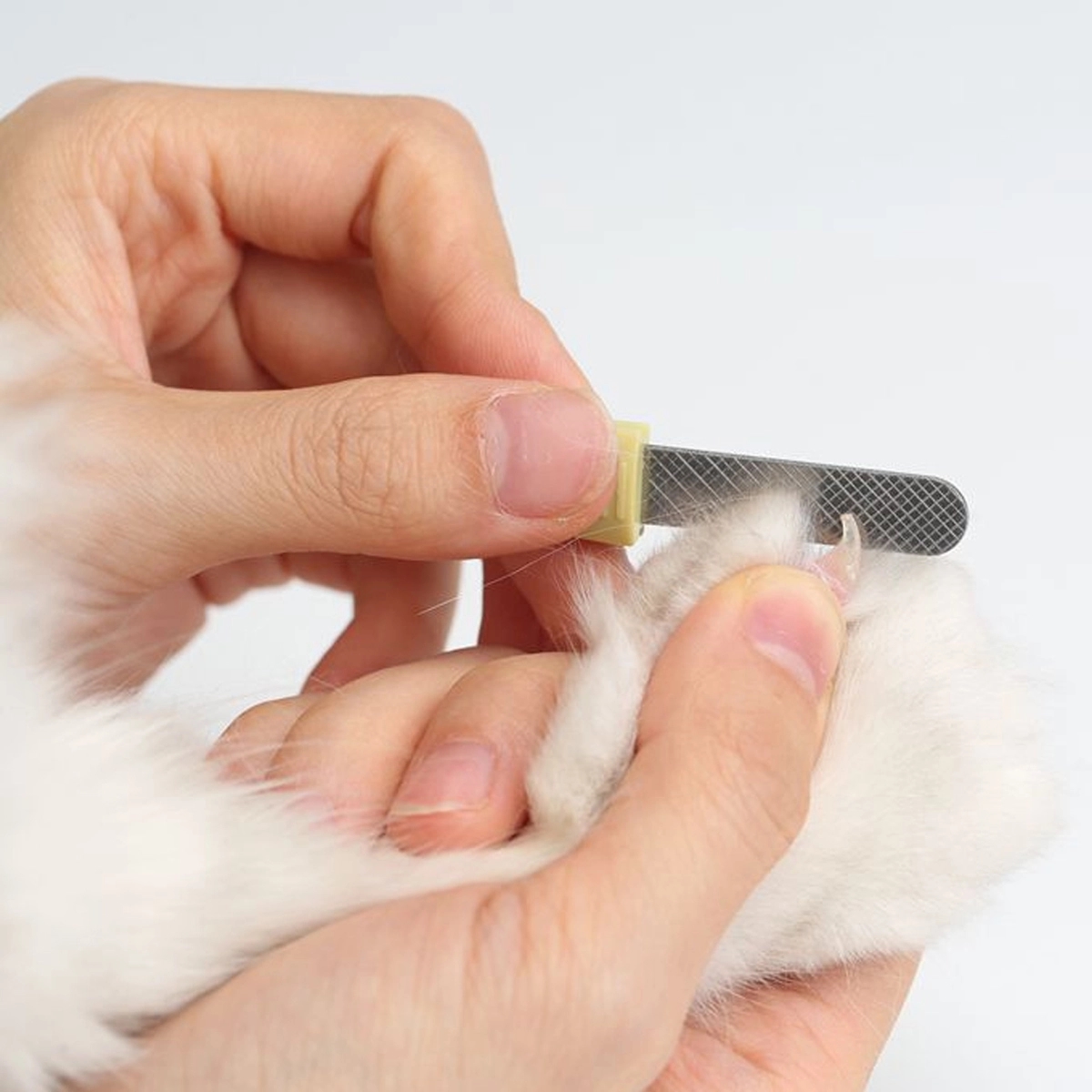 Custom Useful Dogs Cats LED Light Bloodline Pet Nail Clipper 7