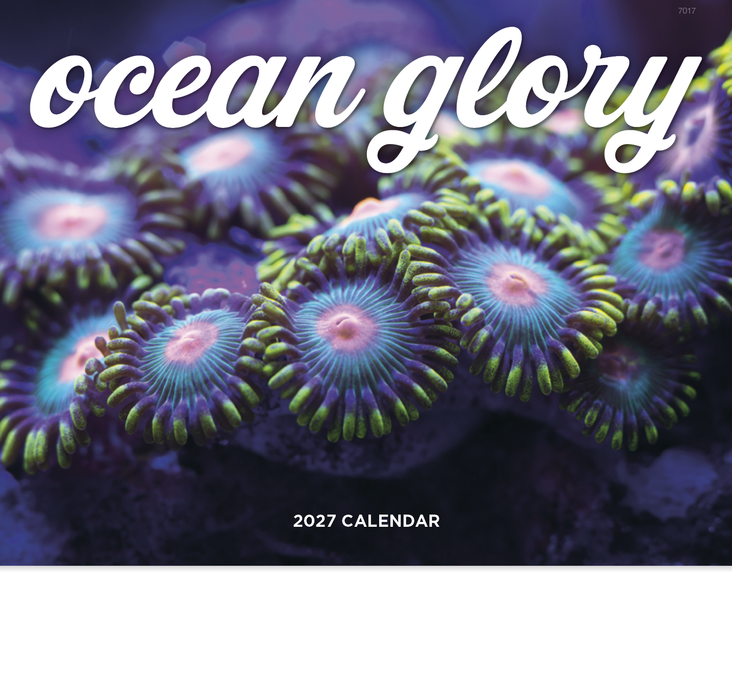 Good Value™ Ocean Glory - Stapled Calendar 63
