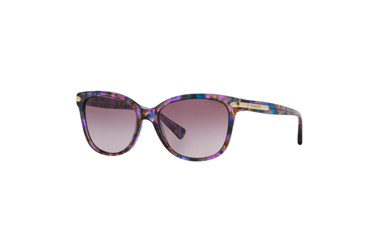 Coach Women's HC8132 Sunglasses 1