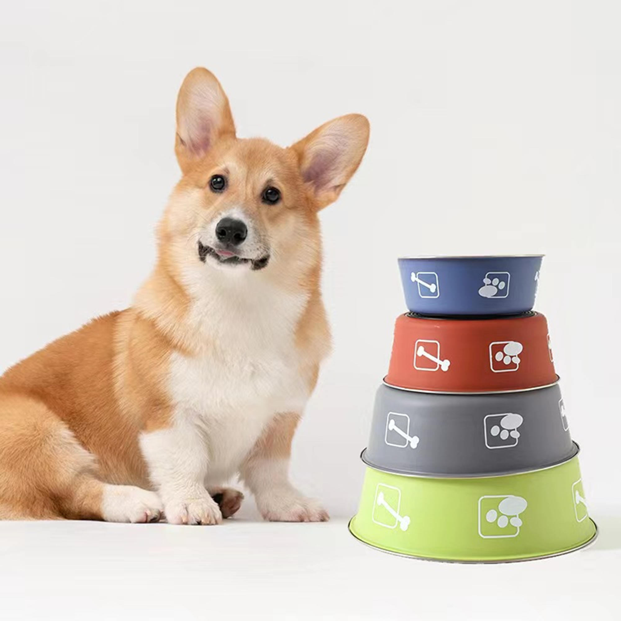 Stainless Steel Pet Food Water Bowl 4