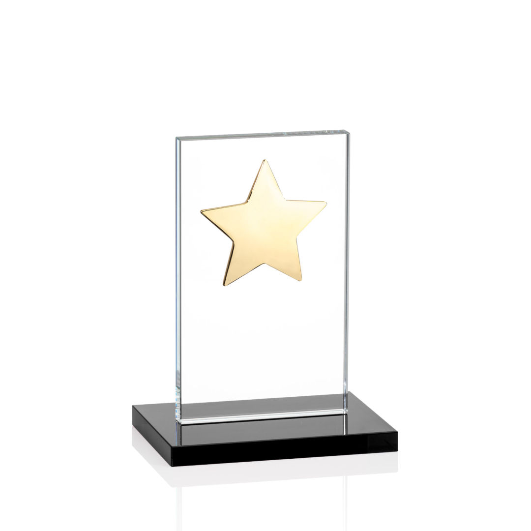 Dallas Star Award - Black/Gold 8