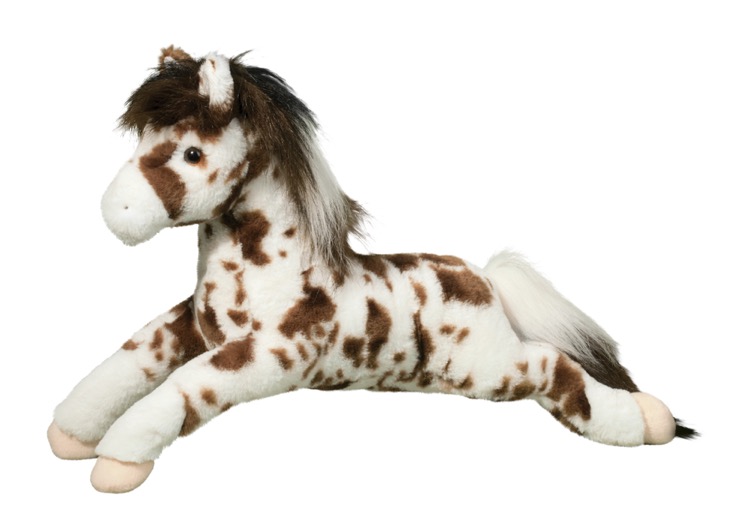 Hawkeye Appaloosa Horse 2