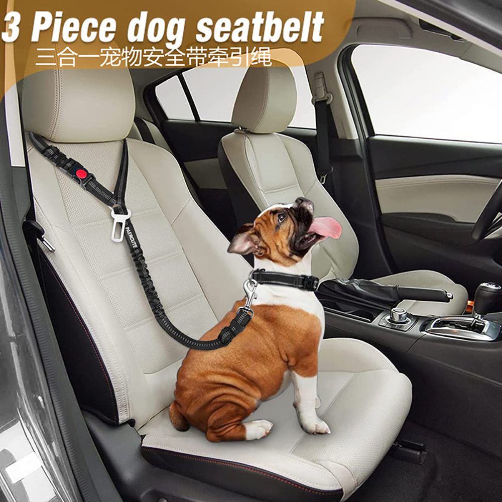 Pet Dog Car Seatbelt Leash 10