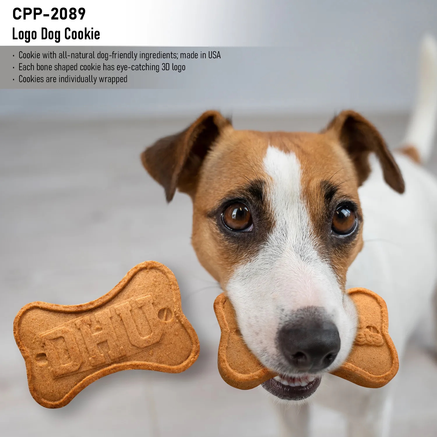 Logo Dog Cookie 8