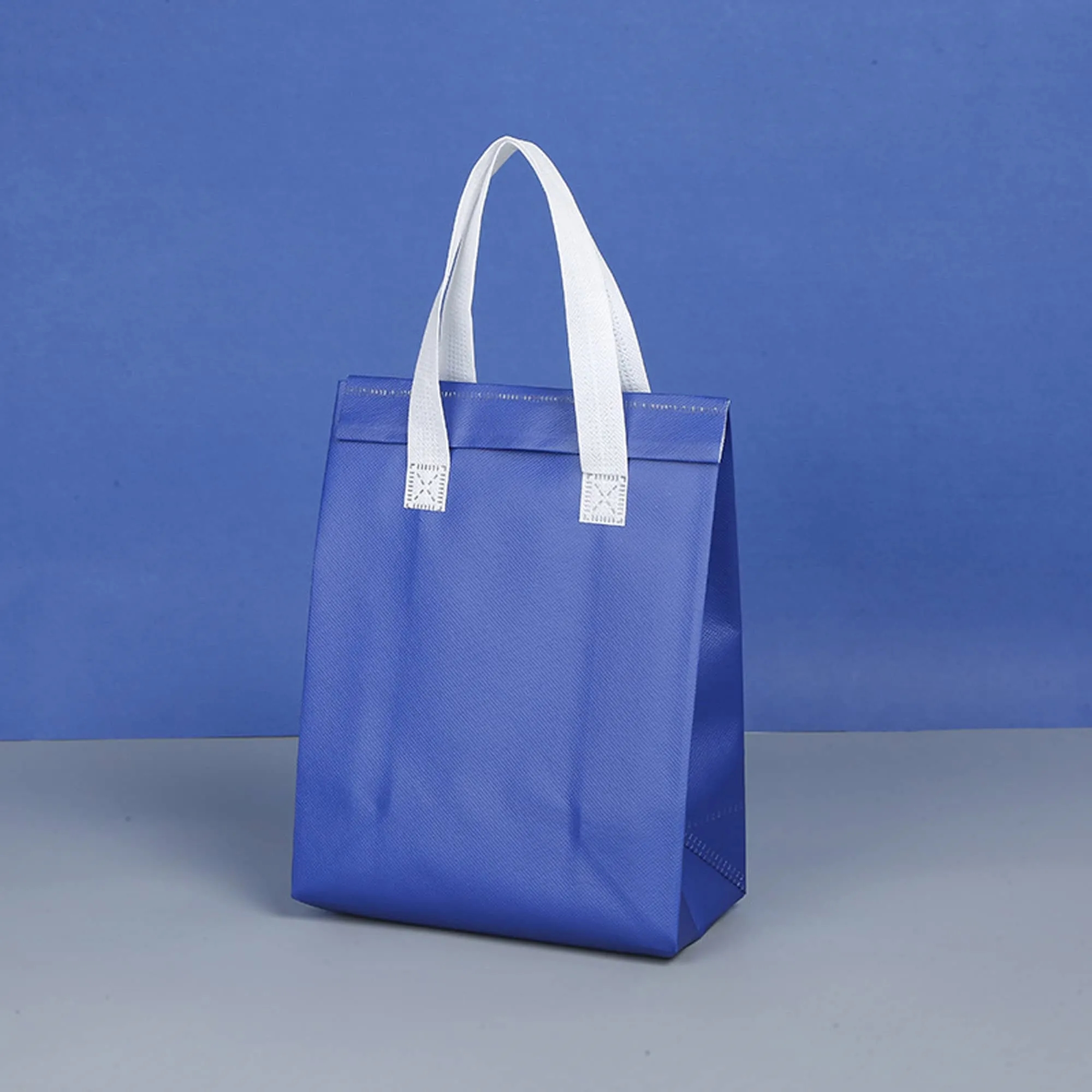 Insulated Tote Bag Multiple Sizes Available 2