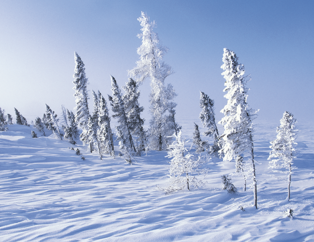 Good Value™ Canadian National Parks - Spiral Calendar