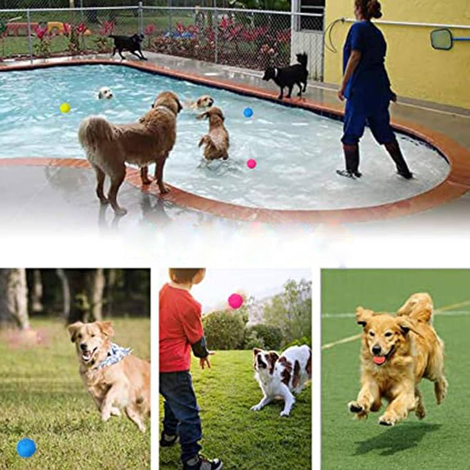 Interactive Dog Chew Ball—Rubber Toy with Footprints Design 2