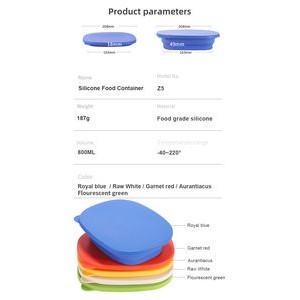 Silicone Food Container 2