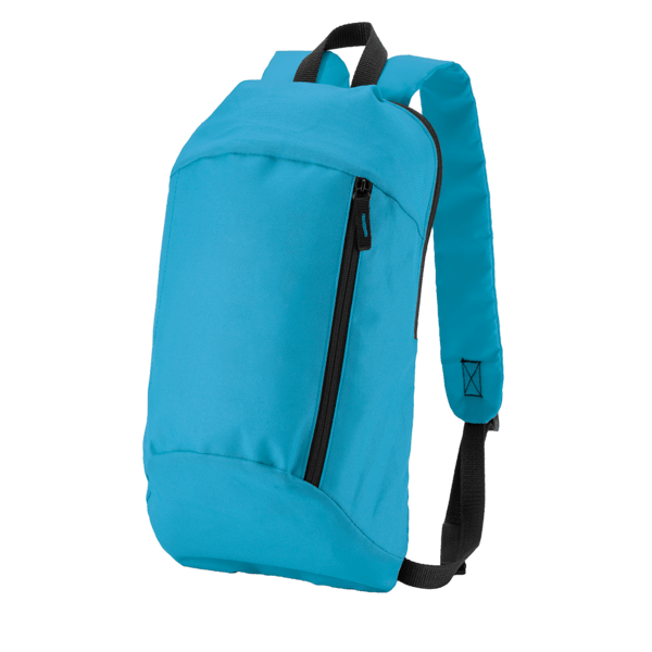 Budget Backpack 43