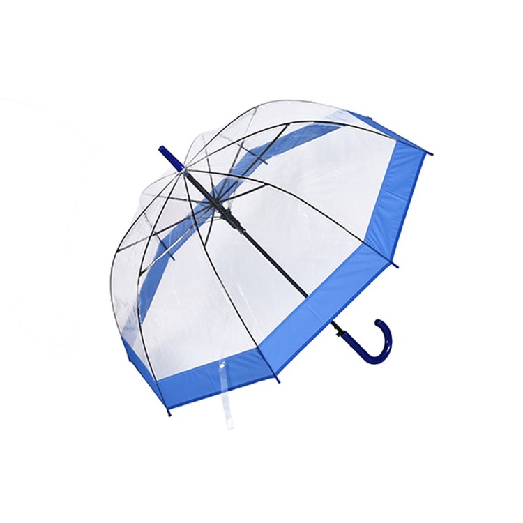 Clear and Transparent Umbrella 4