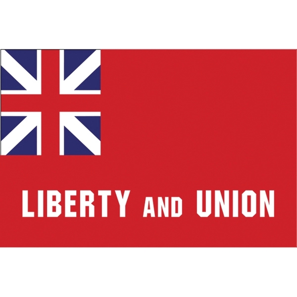 Special Historical Stick Flag - Taunton 2