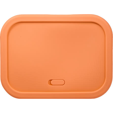 Silicone Food Storage Box with Air Valve 44oz 98