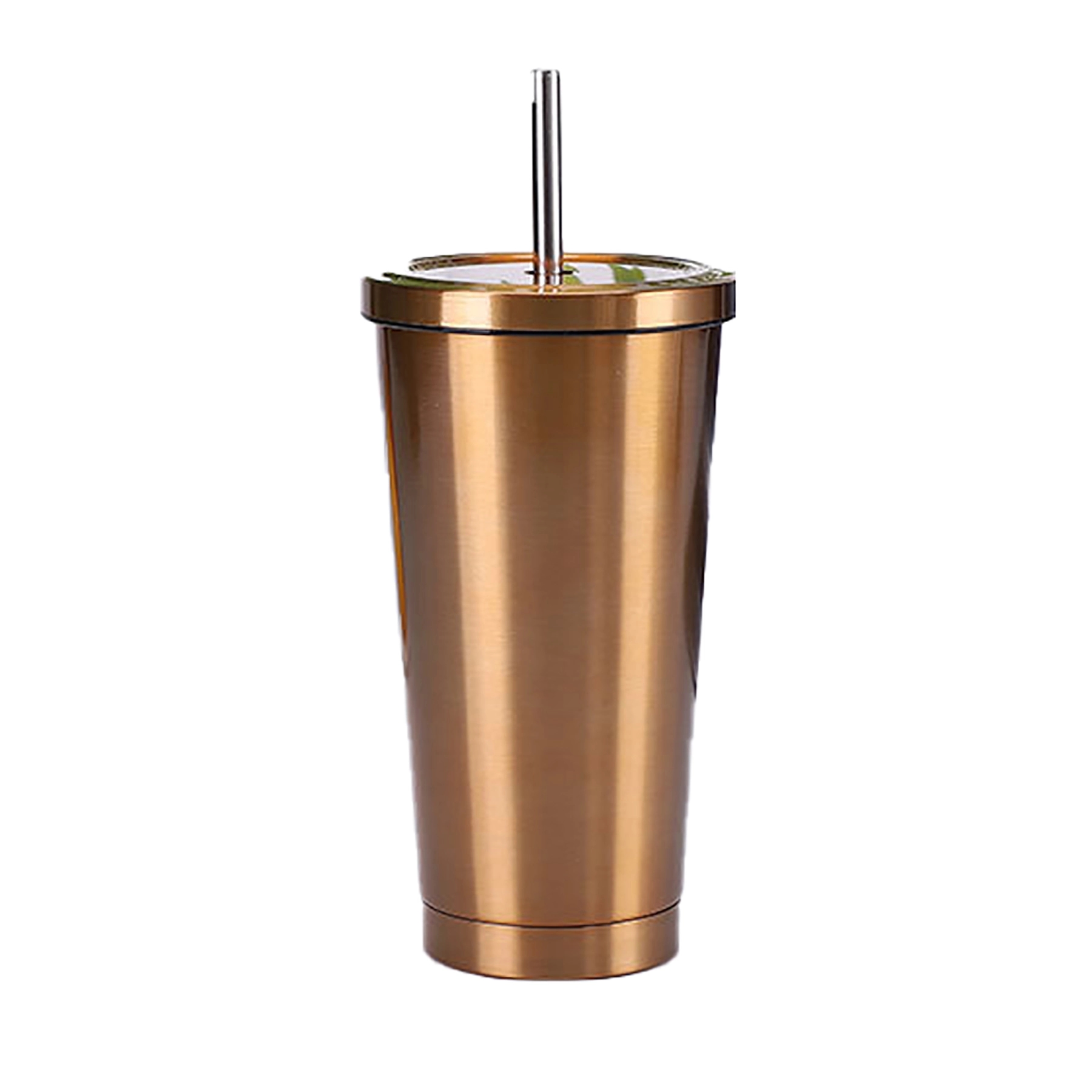 Insulated Stainless Steel Water Bottles with Straw 20 Oz 15