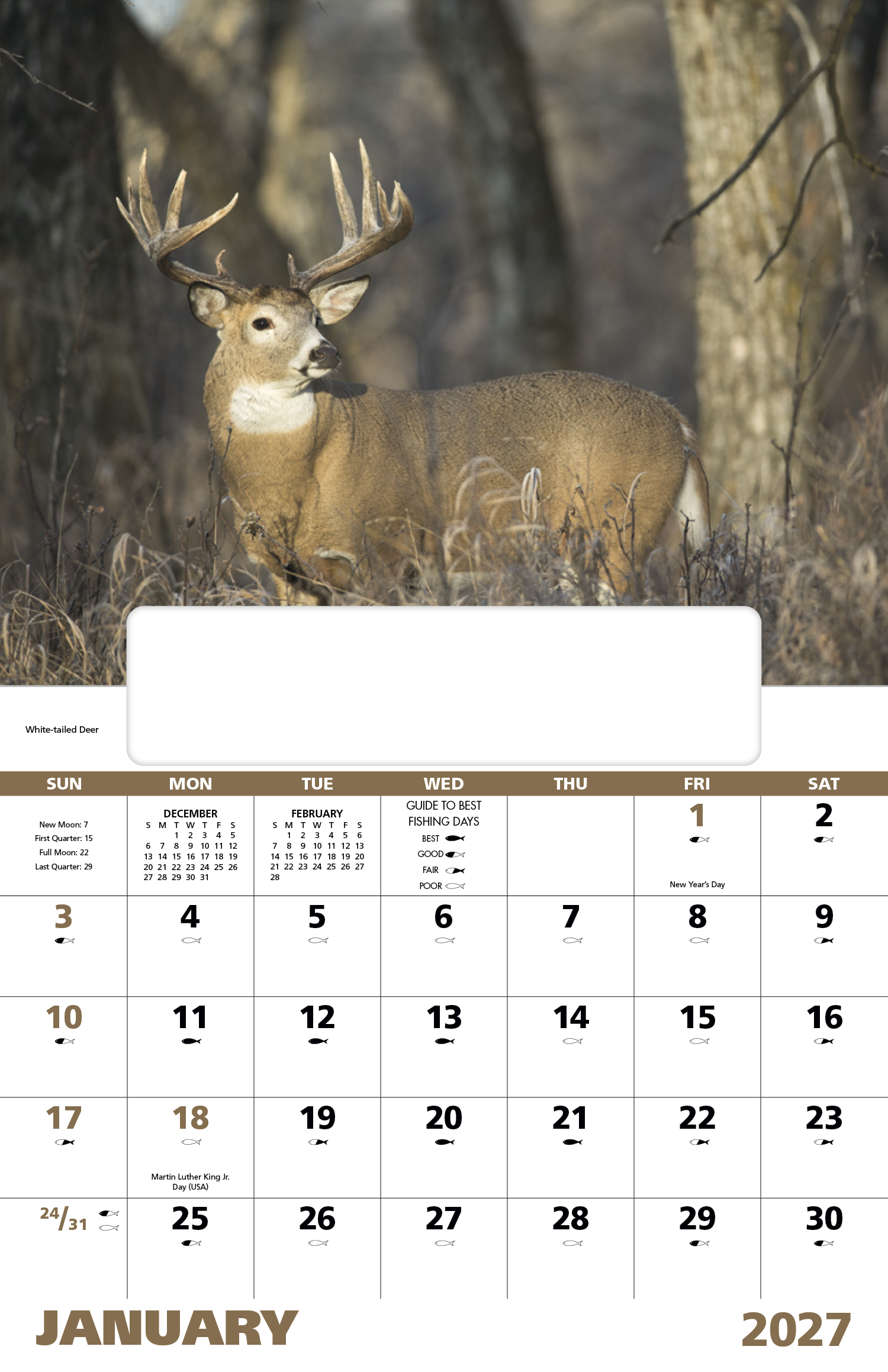 Good Value™ Wildlife Portraits - Window Calendar 51
