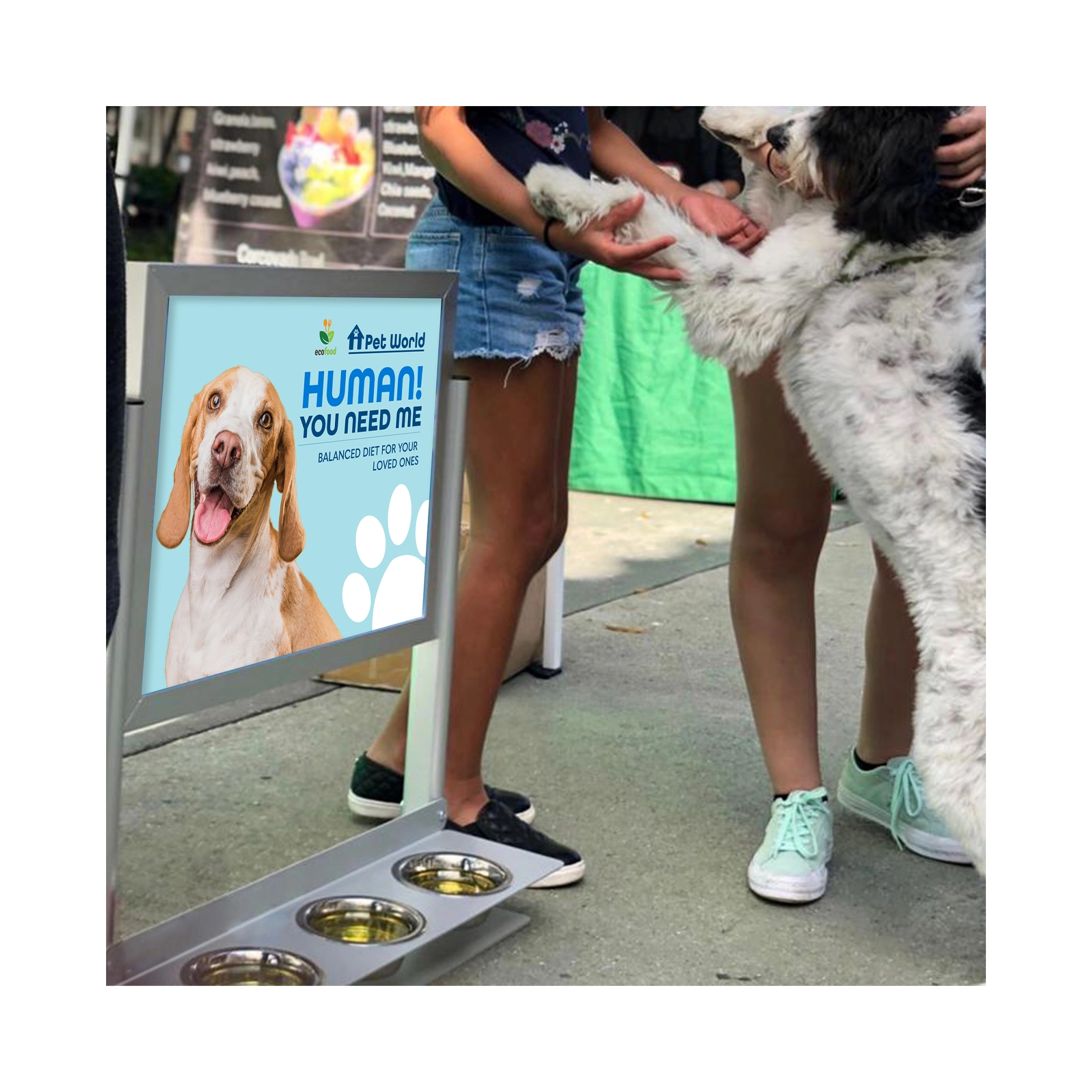 Pet Hydration Display 3