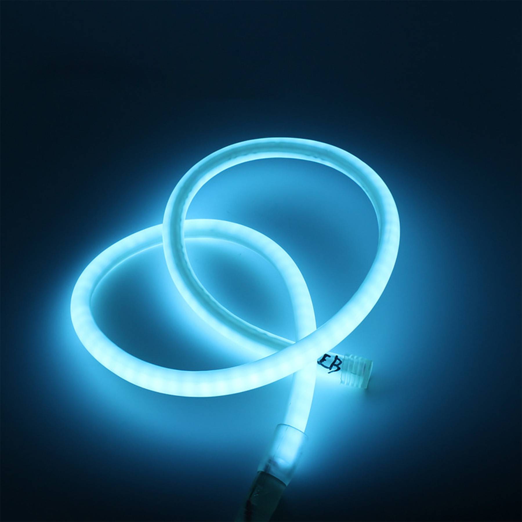 Customized Neon Sign 3
