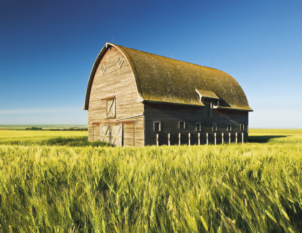 Triumph® Calendars Barns Calendar 71