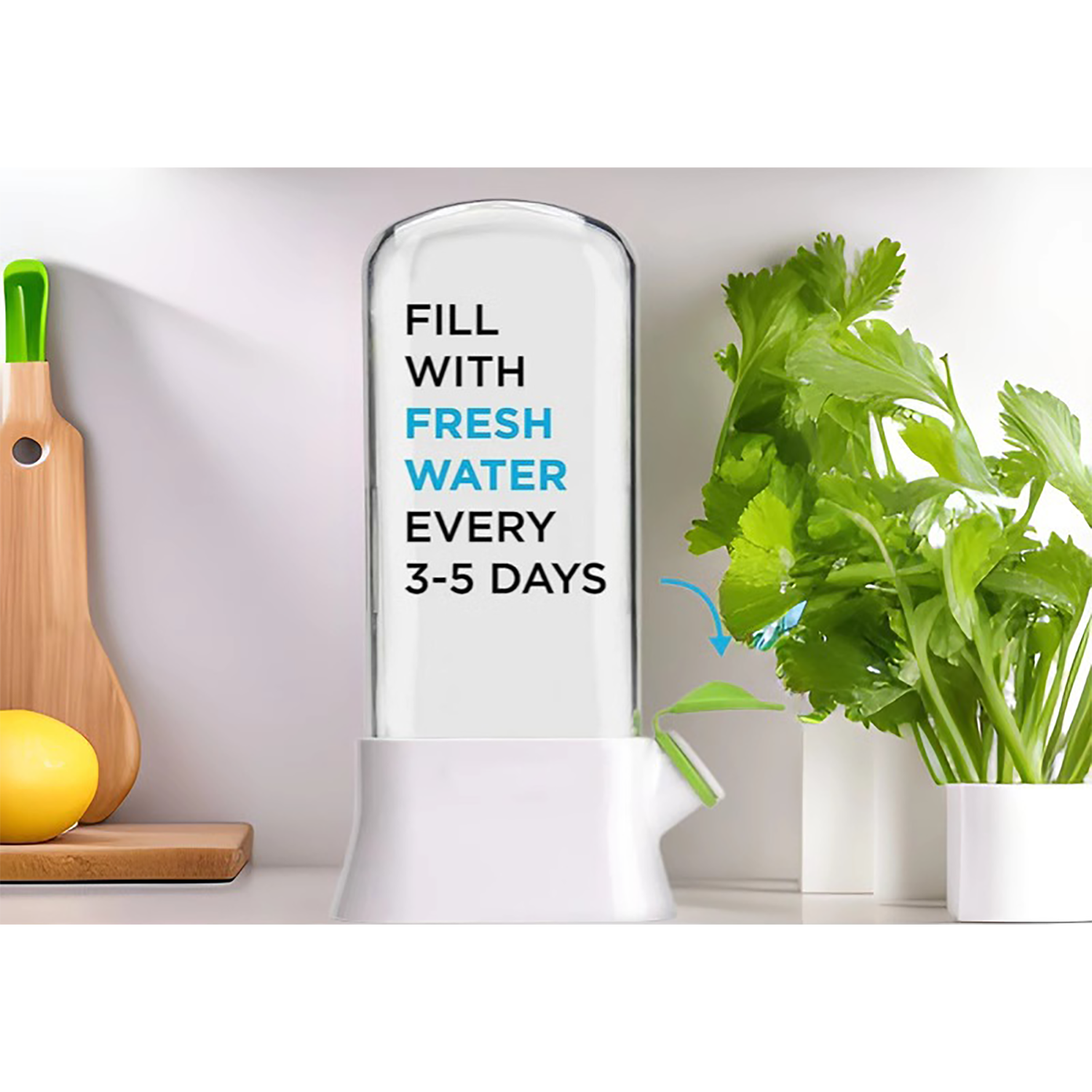Vegetable Fresh-Keeping Box 5