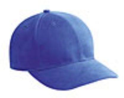 Embroidered Brushed Bull Denim Caps 10