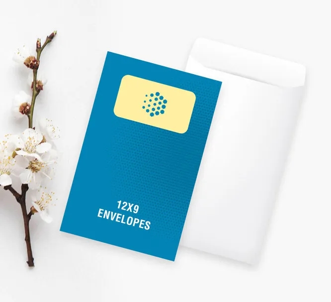 12'' x 9'' Envelopes 2