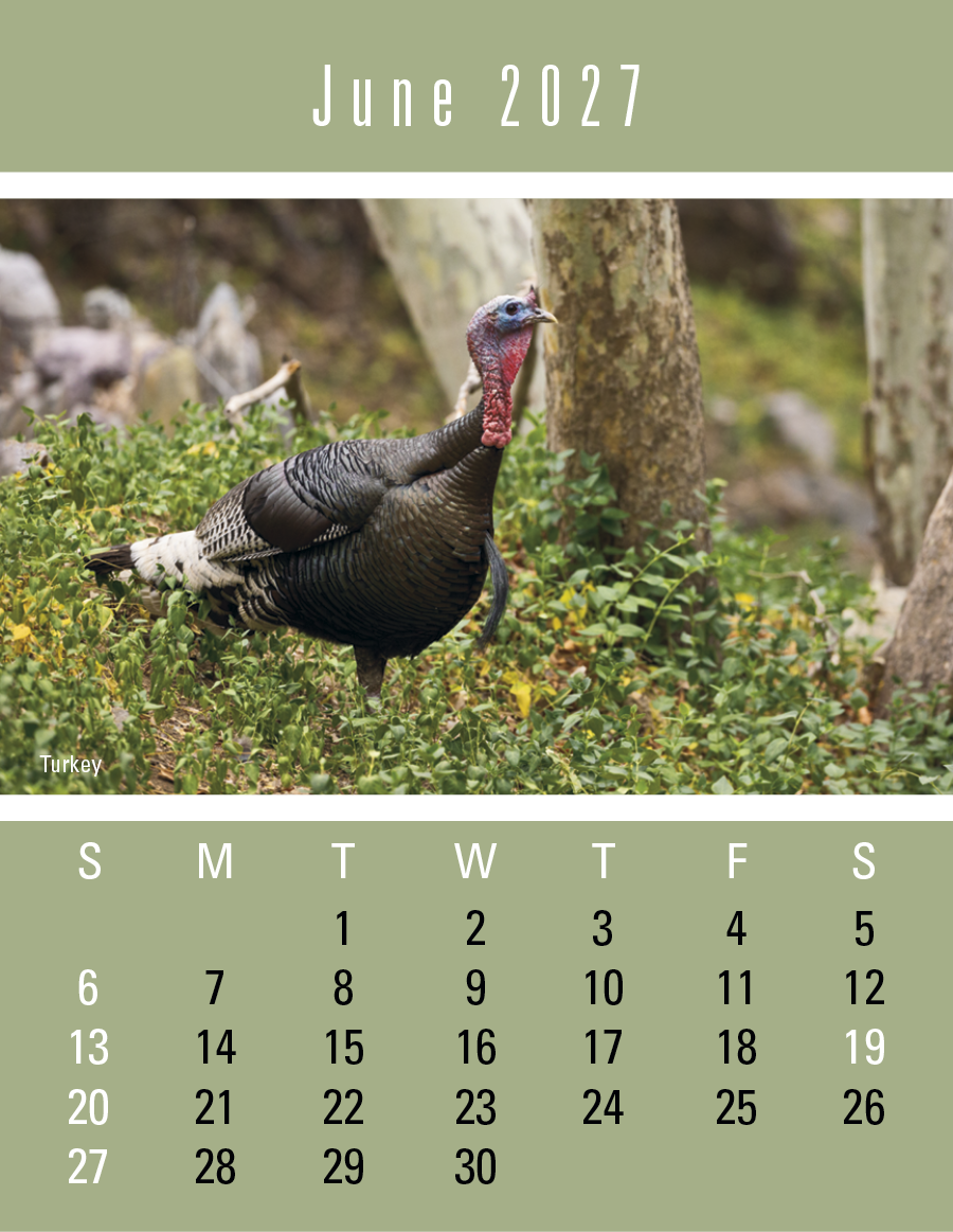 Triumph® Calendars Press-N-Stick Sportsmen Calendar 957