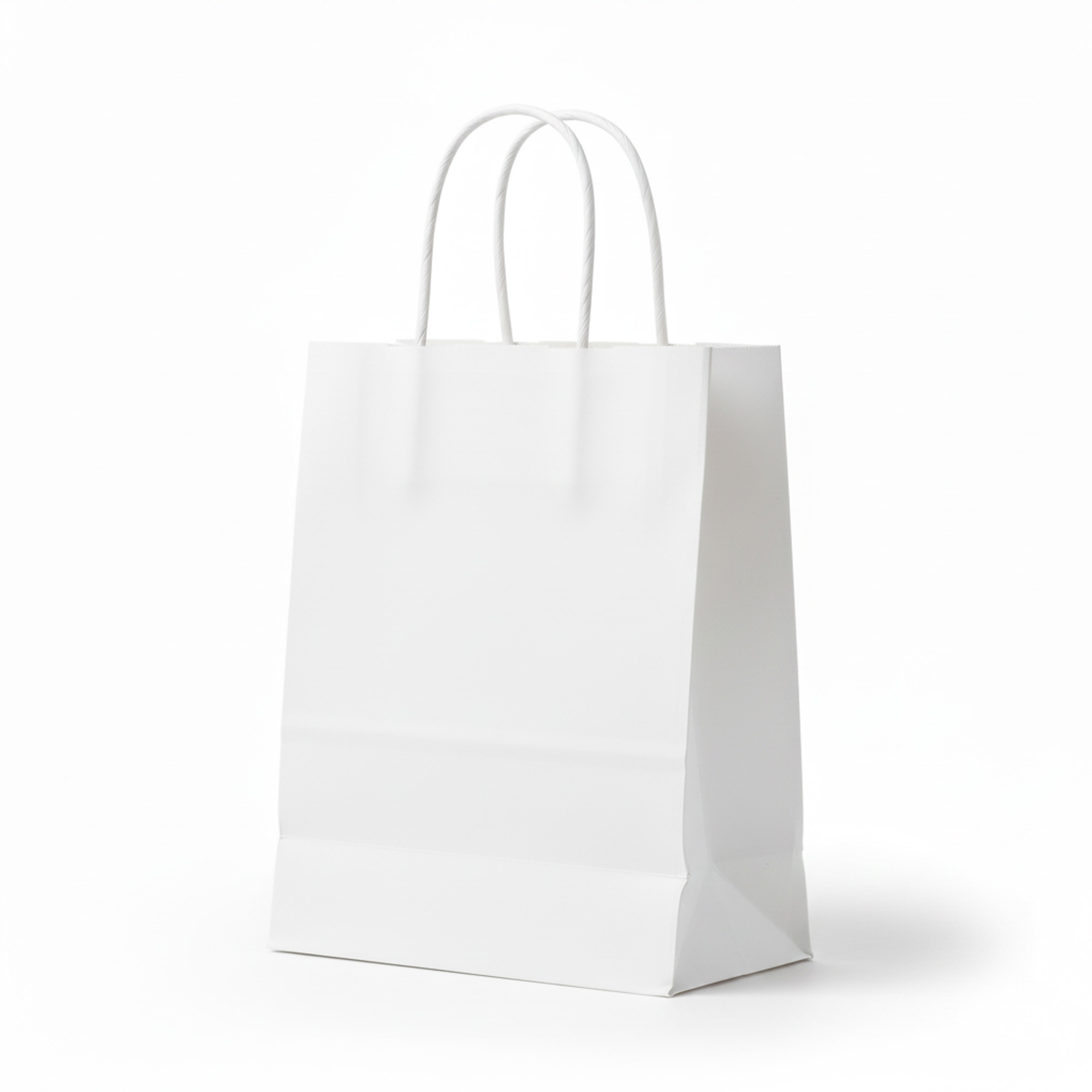 Paper Gift Bag 5