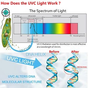 Electric Phone UVC Sanitizer Lamp 2