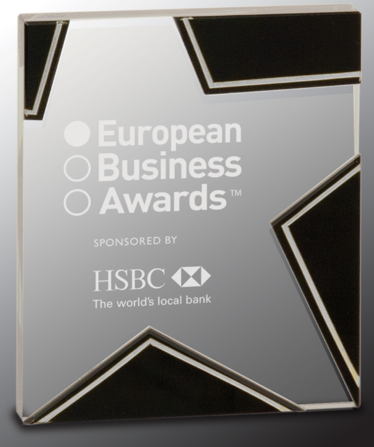 6 3/4" Silver/Black Glass Star Award