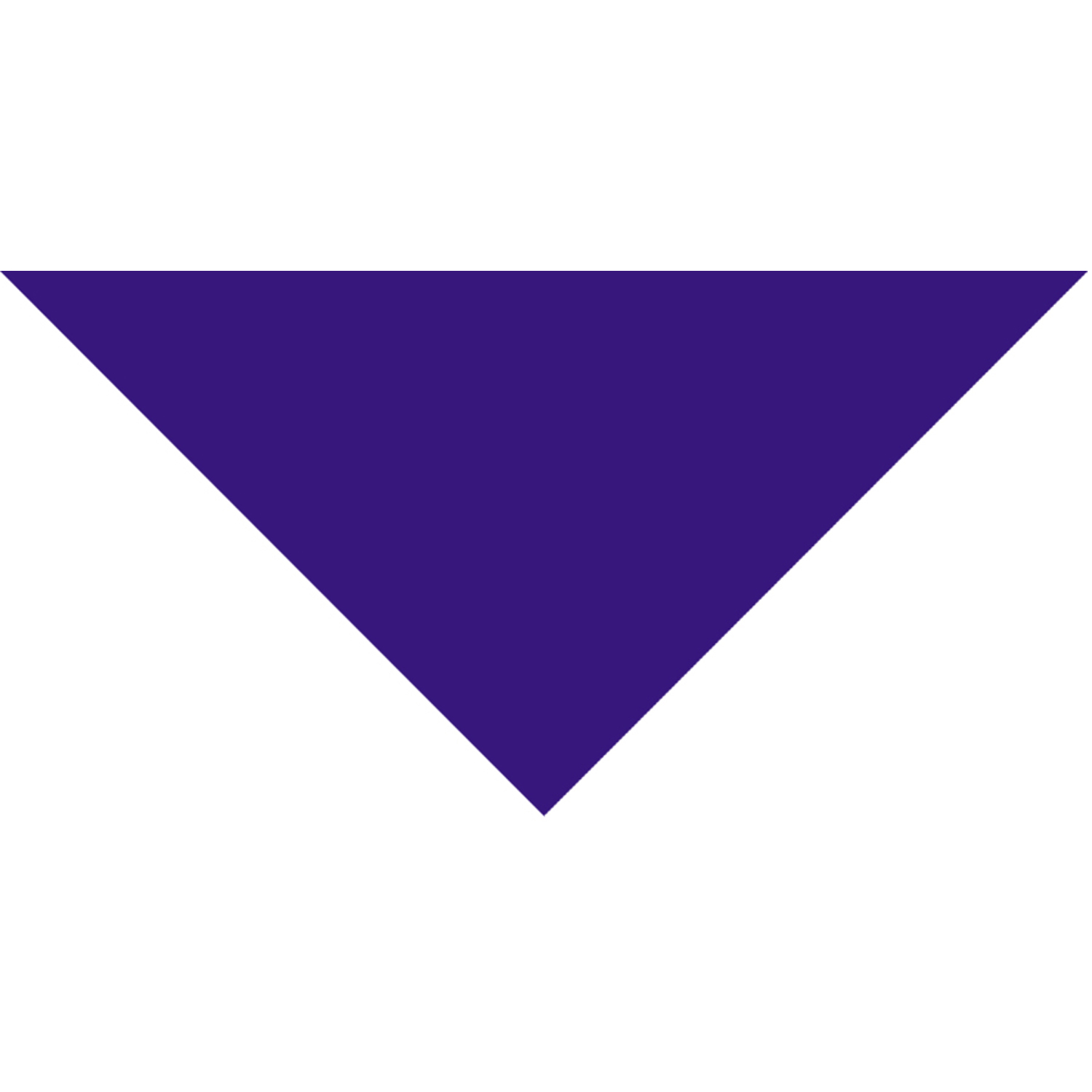 Domestic Pet Bandanna 40