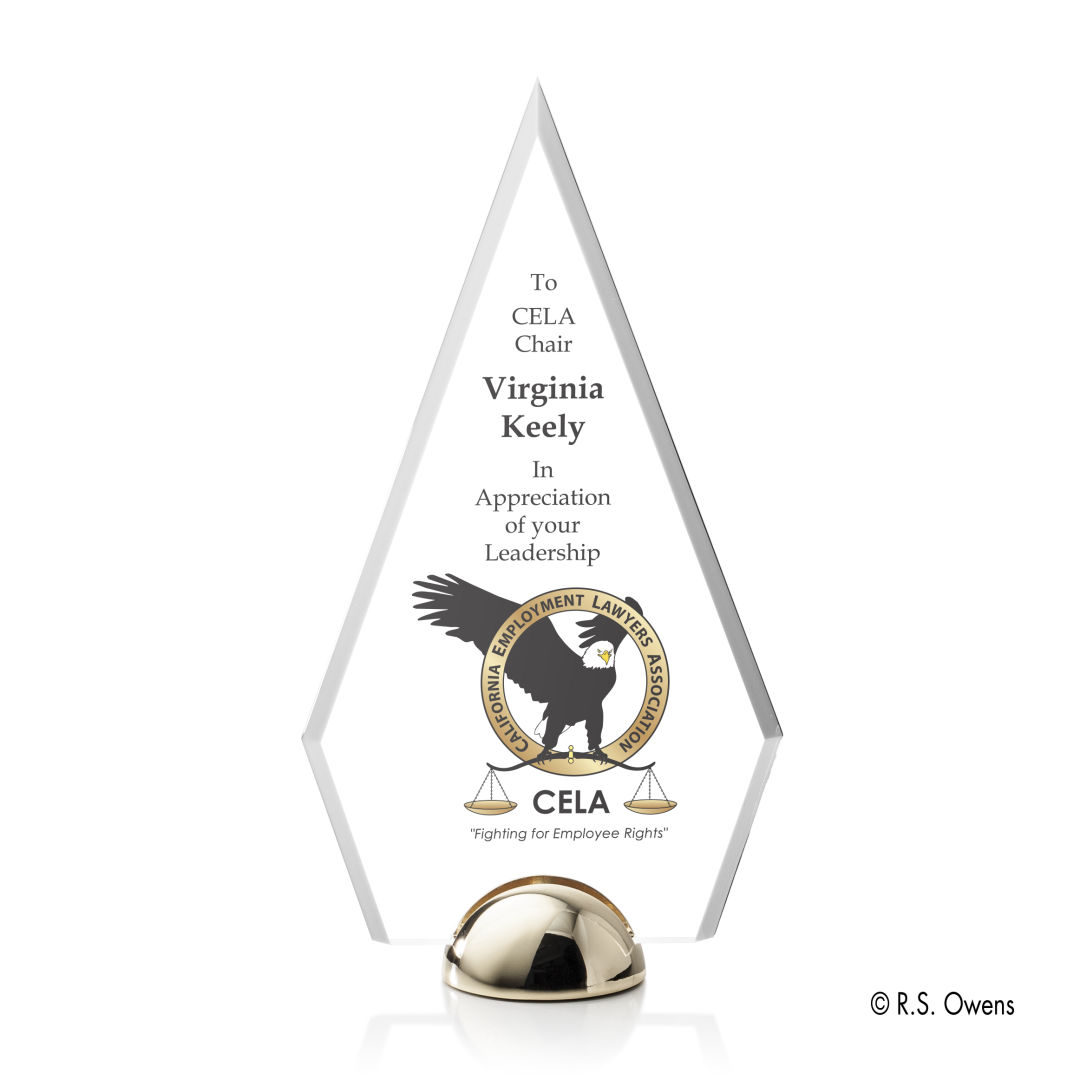Apex Hemisphere VividPrint™ Award 4