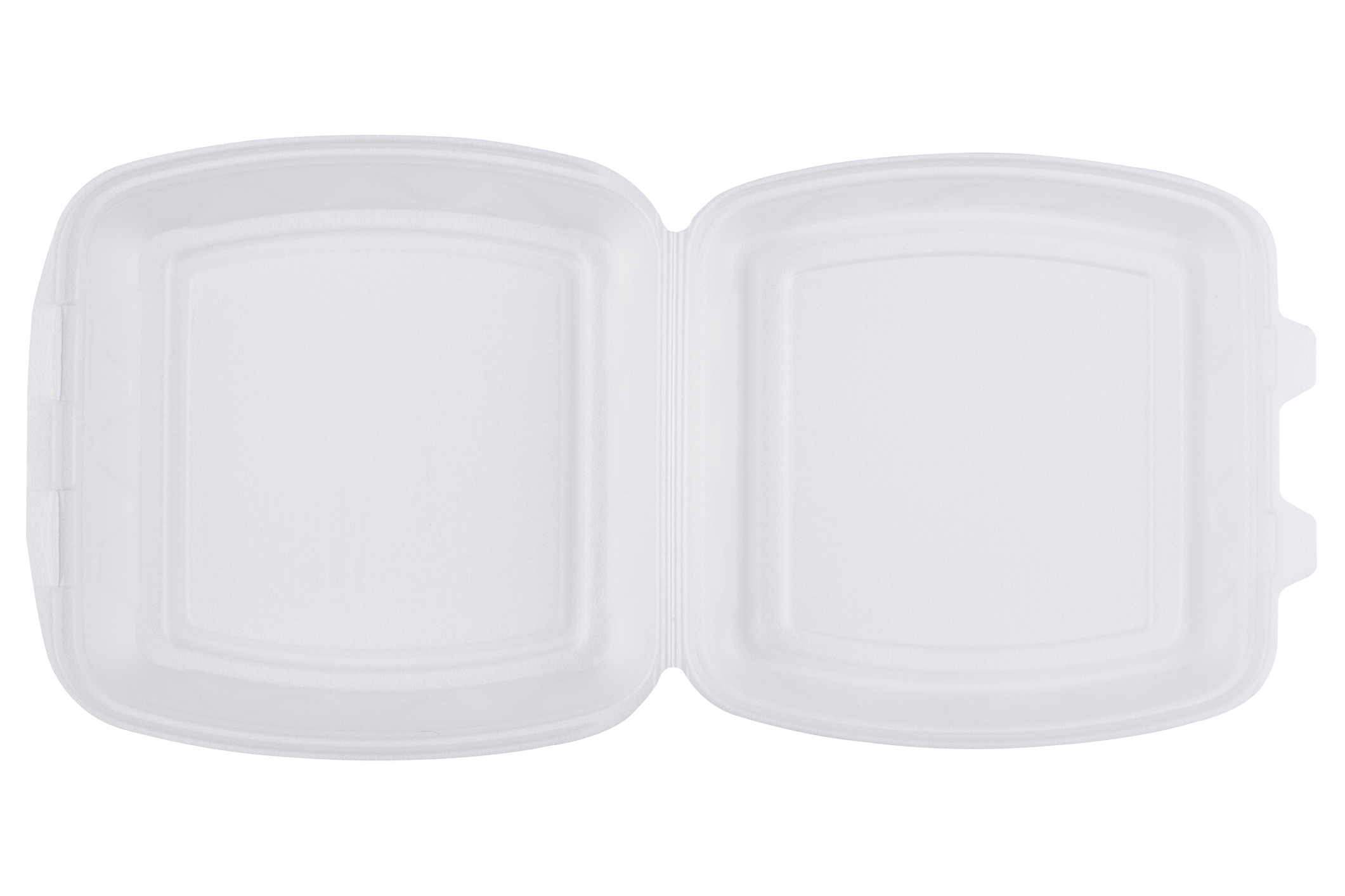 9"x9" Foam Takeout Container 3