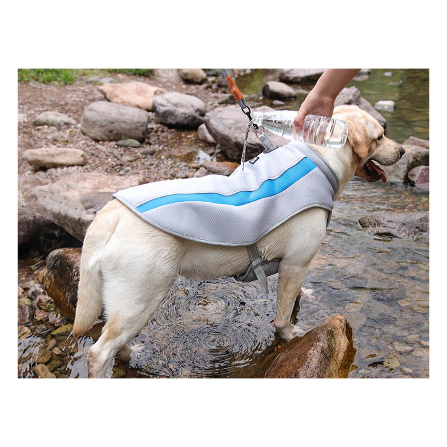 Summer Dog Cooling Reflective Clothing 6