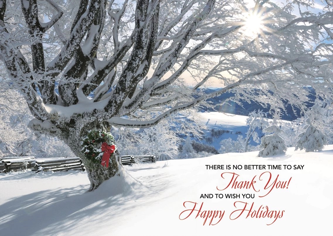 Striking Gratitude Holiday Cards 1