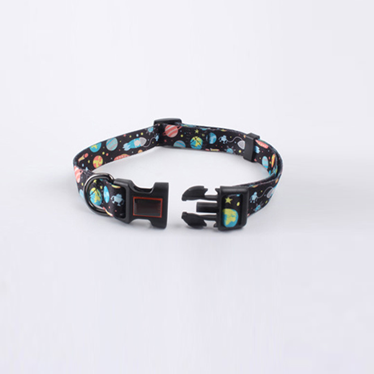 Nylon Dog Collar Band Loops 4
