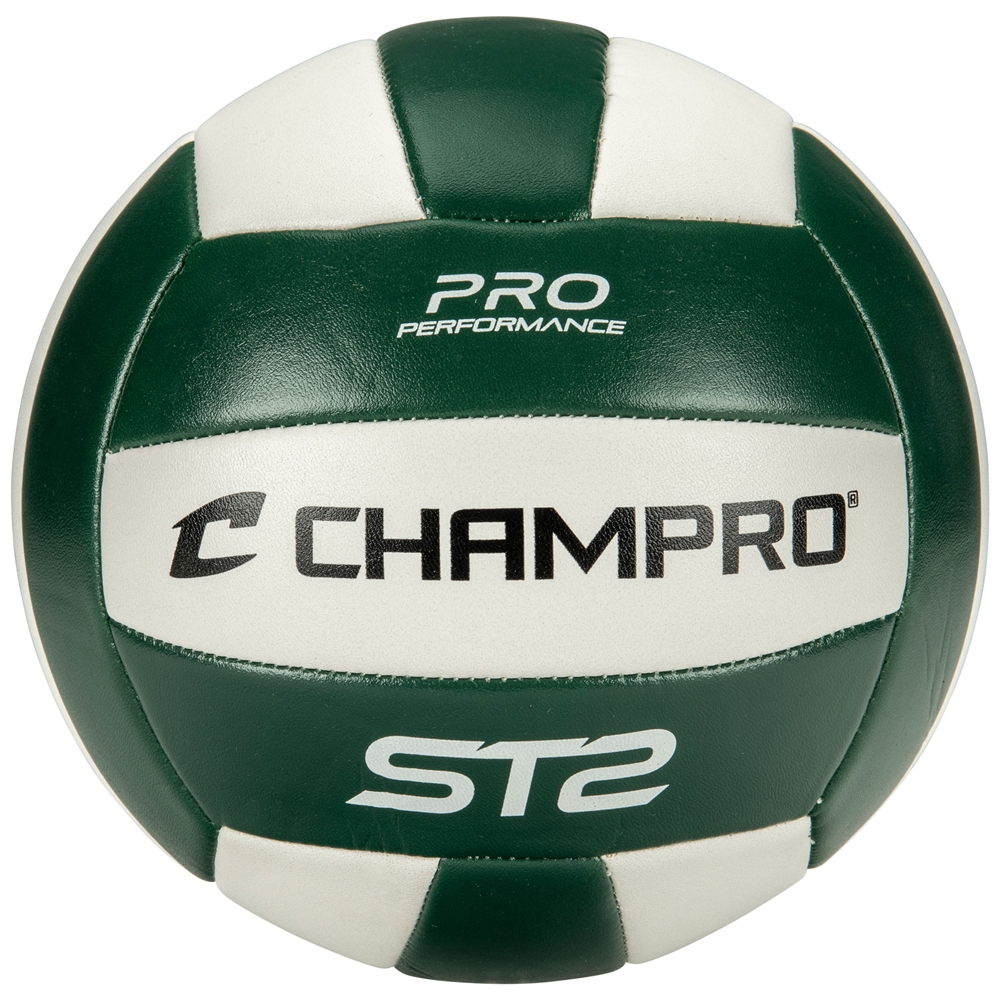 Indoor/Outdoor Volleyball 2