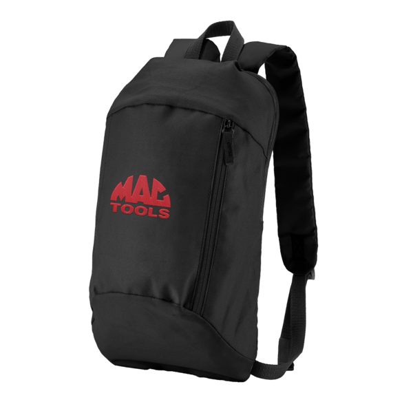 Budget Backpack 31