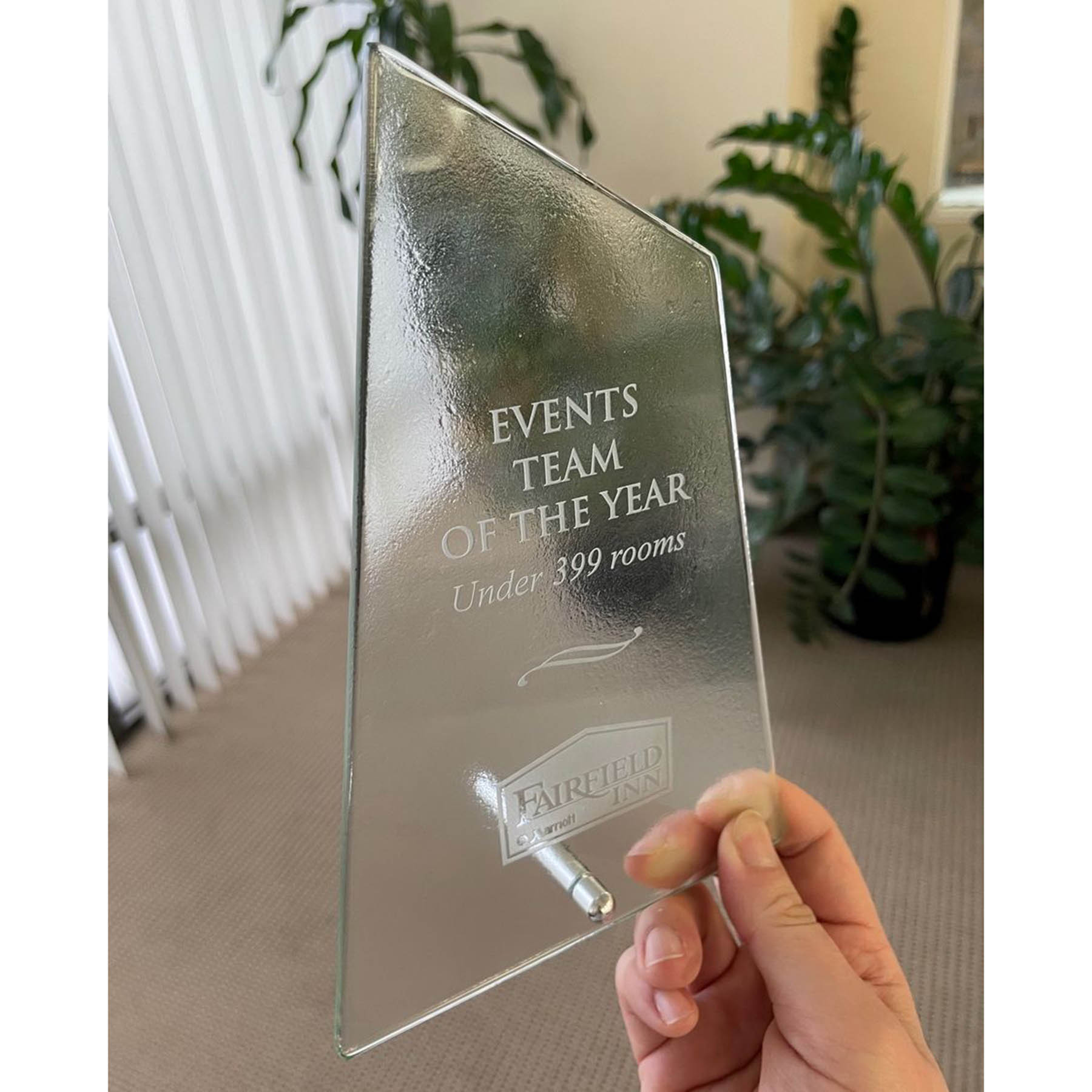 8" Award - Palisade_D750GA 2