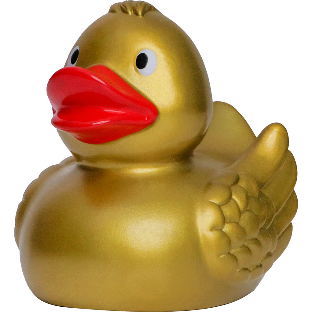 Duck With Wings 12