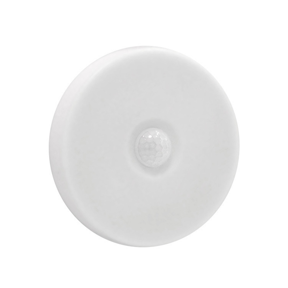 LED Induction Light 3