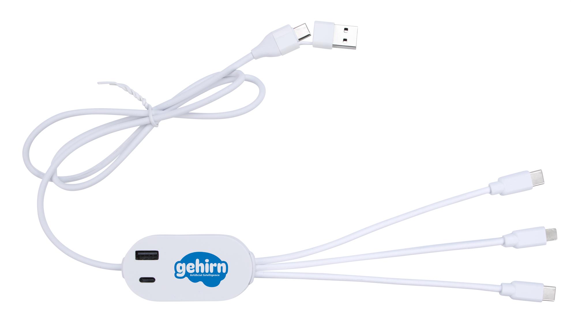 Good Value™ DualLink Charging Cable 2A with USB Hub 27
