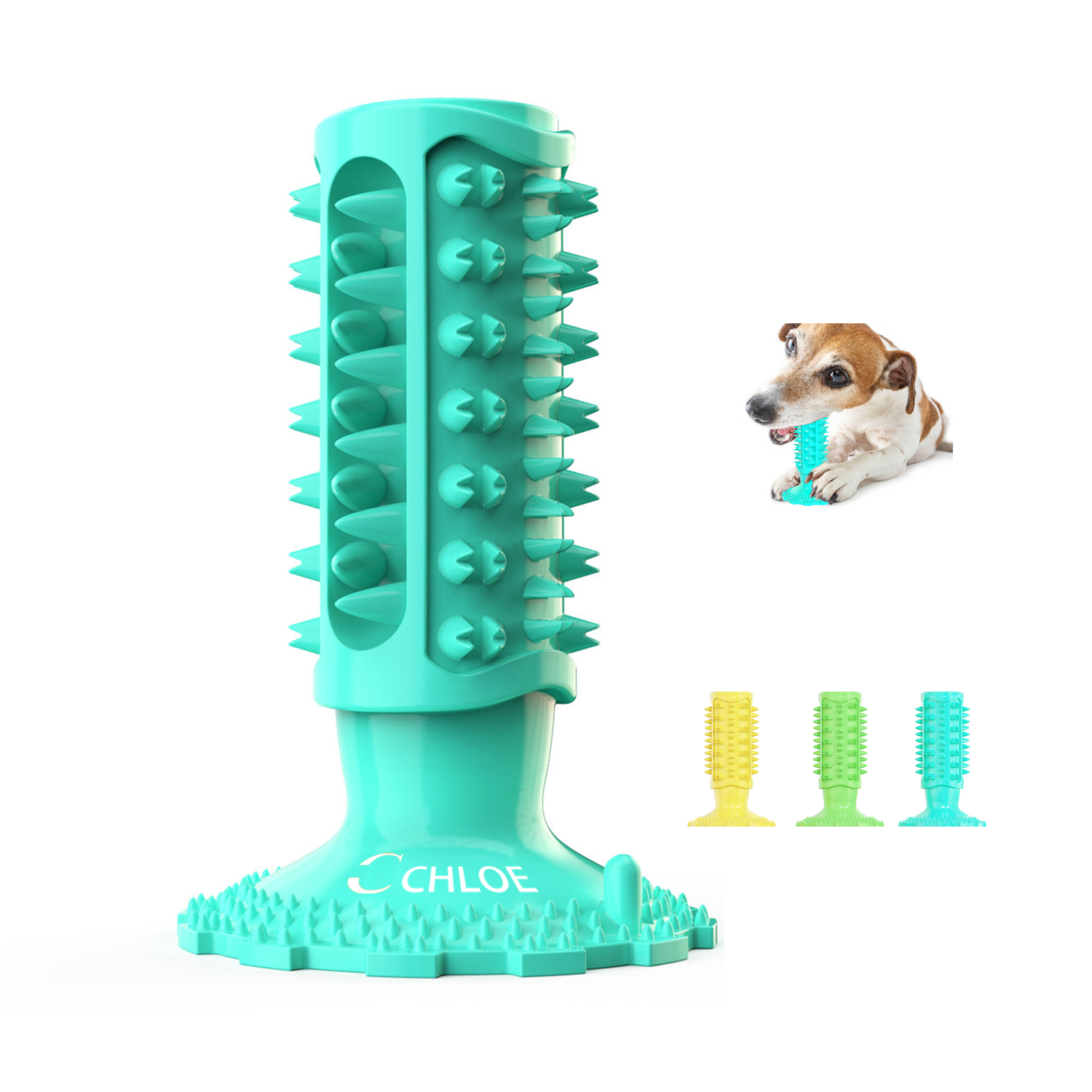 Dog Bites Chew Toy & Toothbrush 1