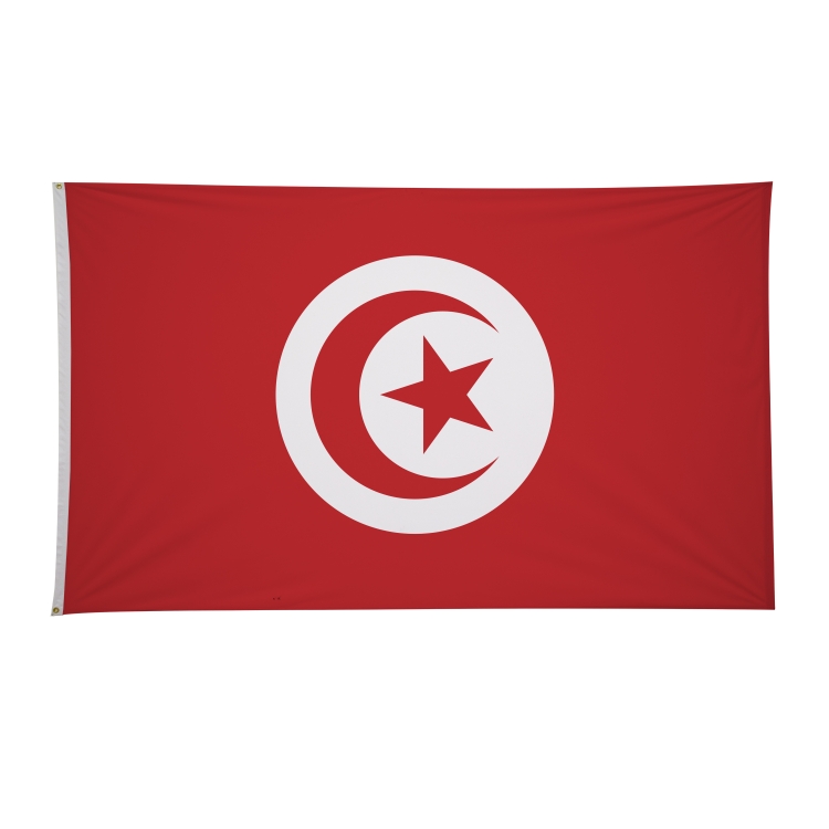 6' x 10' International Flags 160