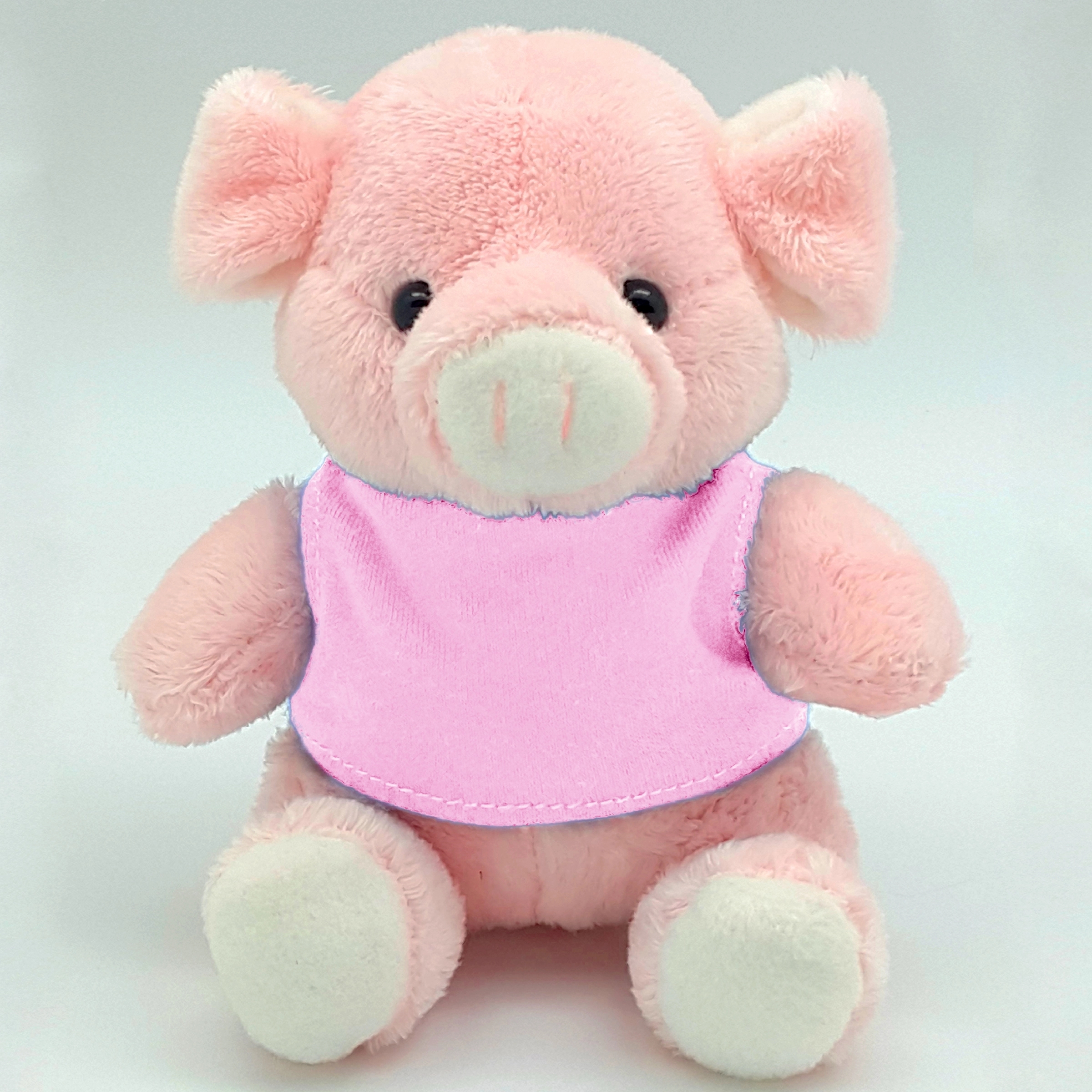 5" Plush Pals Pig 6