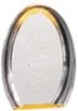 7" Oval Halo Acrylic Award 1